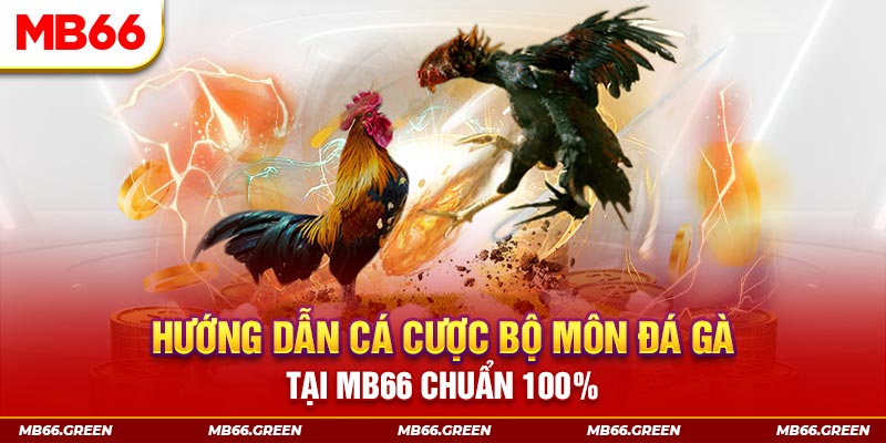 66vn kết quả xổ số miền bắc ngày hôm nay