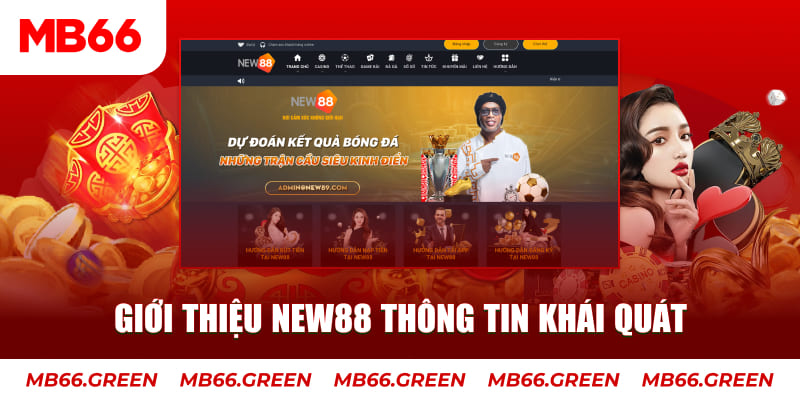 66vn c1 gà chọi