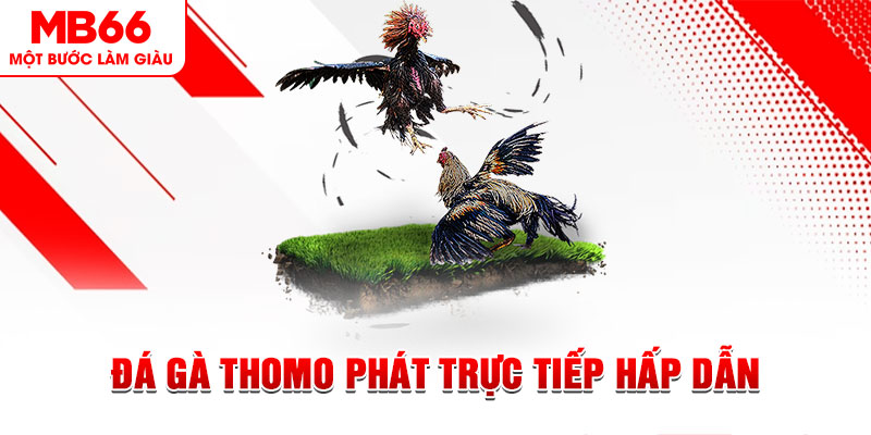 66vn xổ số thứ tư