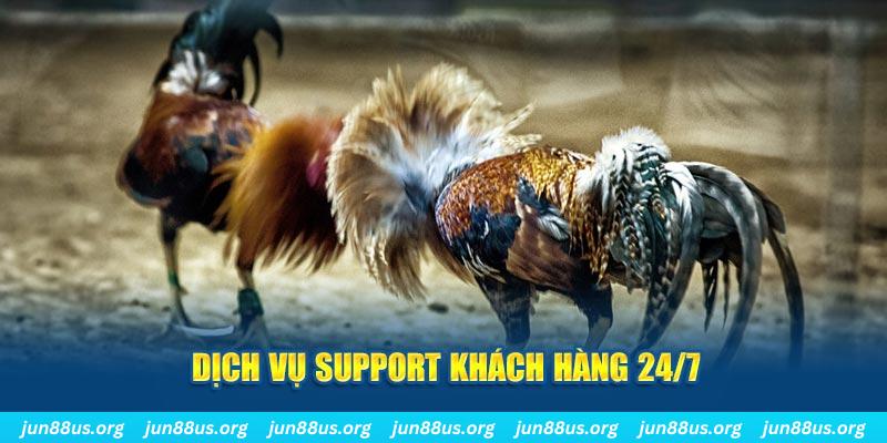 66vn game xếp bài trên máy tính