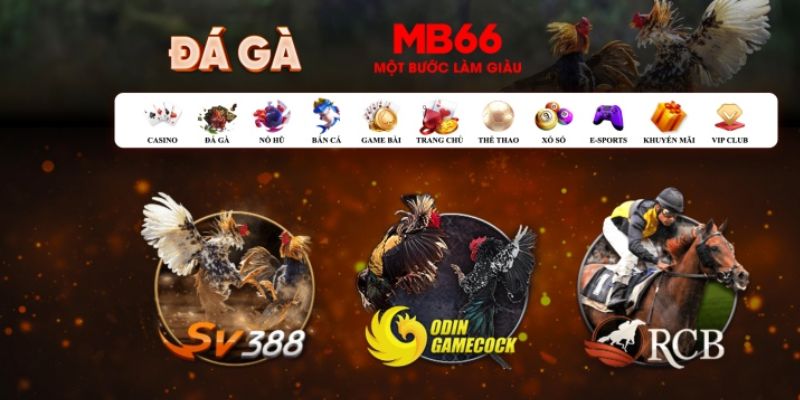 66vn what is casino bonus wagering