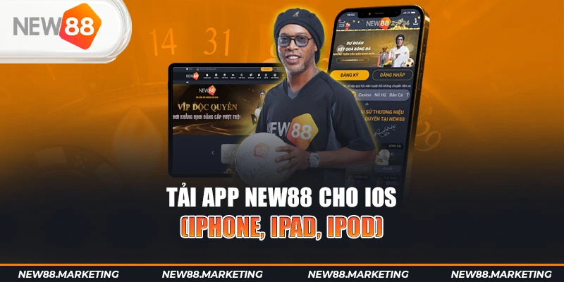 66vn gà chọi cậu thanh