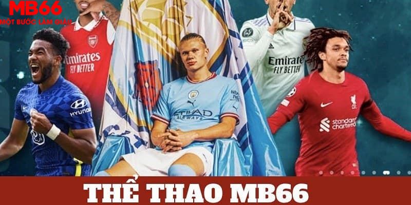 66vn bản tình ca mùa đông