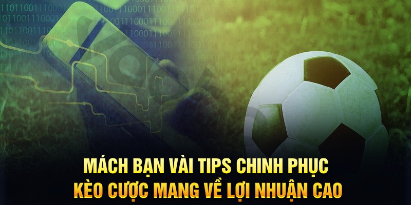 66vn đăng nhập phỏm hàng đầu