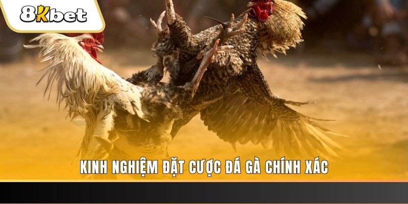 66vn xổ số thứ bảy hàng tuần
