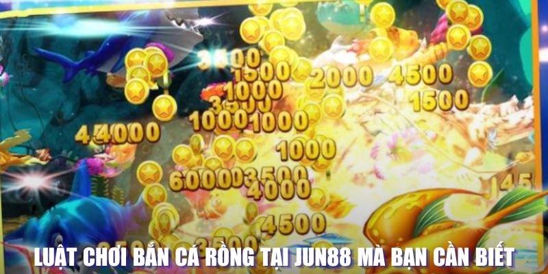 66vn xổ số đài hà nội