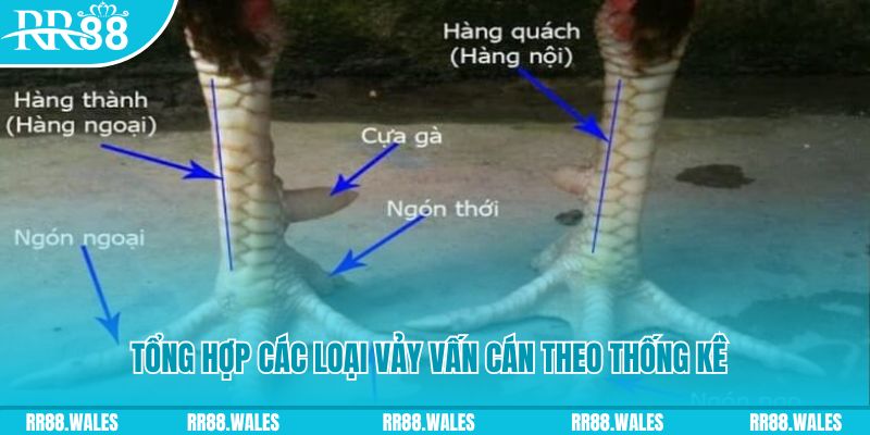 66vn casino hồ tràm có cho người việt vào không