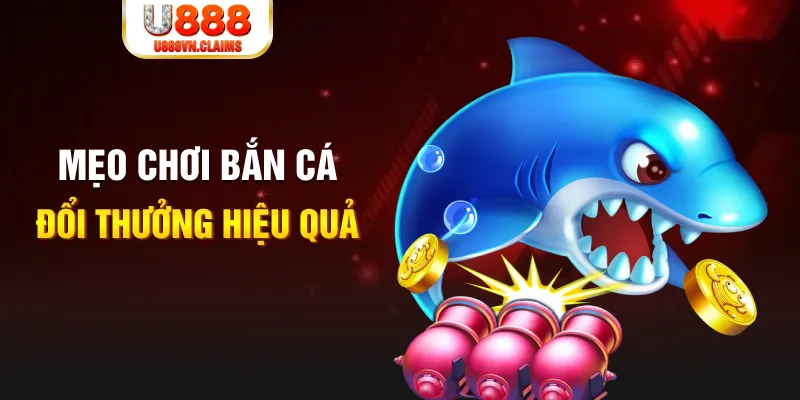 66vn gà chọi cam ranh