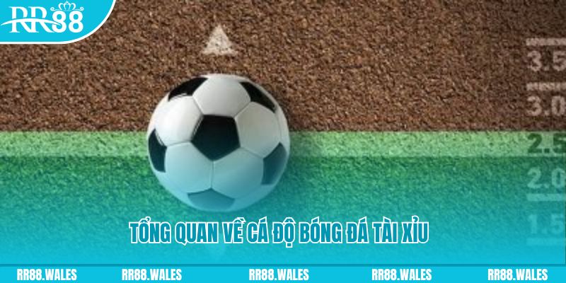 66vn đăng nhập roulette online