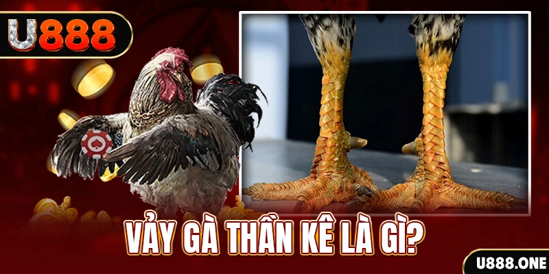 66vn đăng nhập poker khuyến mãi