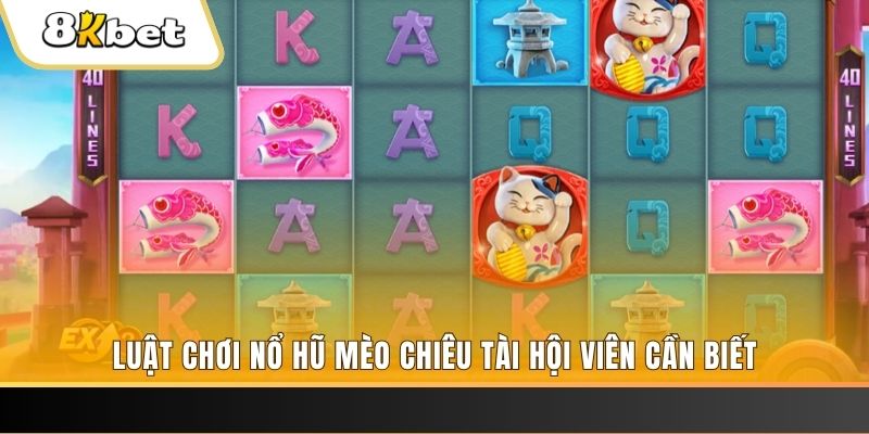66vn gà chọi cu cần