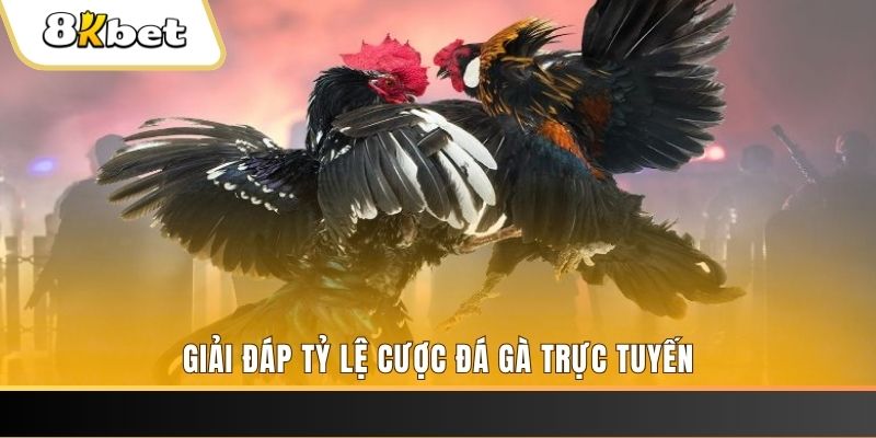 66vn ban ca online