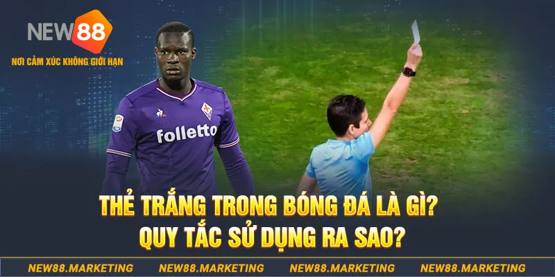 66vn đăng nhập sòng bạc hôm nay