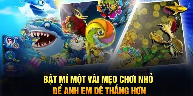 66vn xổ số thứ ba