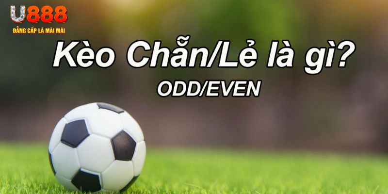 66vn đăng nhập sòng bạc 2024