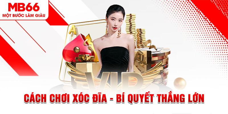 66vn xổ số miền bắc thứ bảy hàng tuần