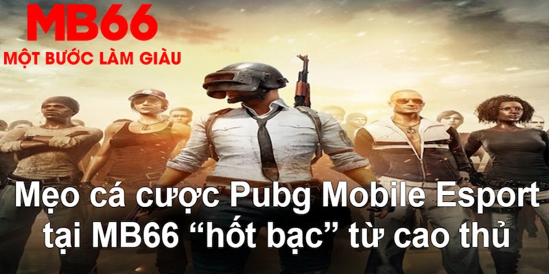 66vn đăng nhập poker hàng đầu