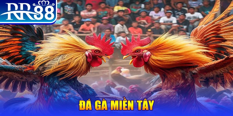 66vn xổ số miền bắc thứ bảy