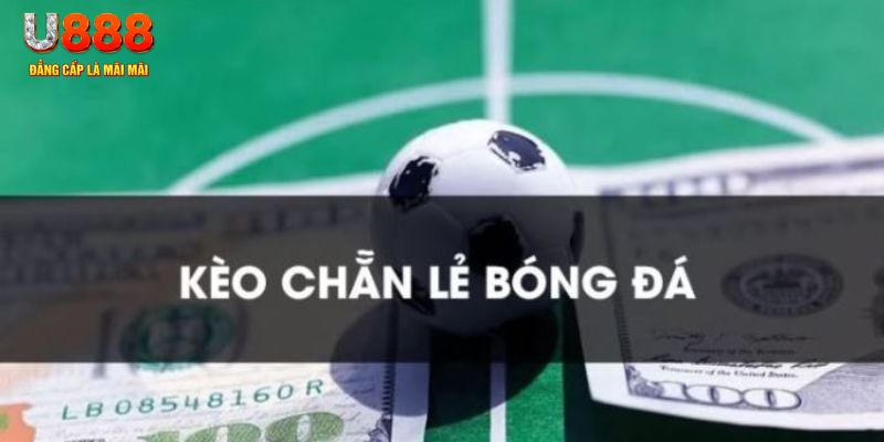 66vn gà chọi c1.tv