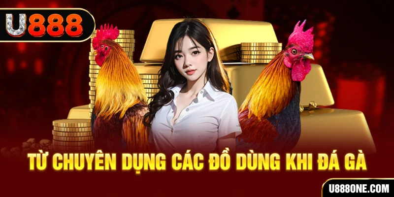 66vn đá gà trực tiếp campuchia