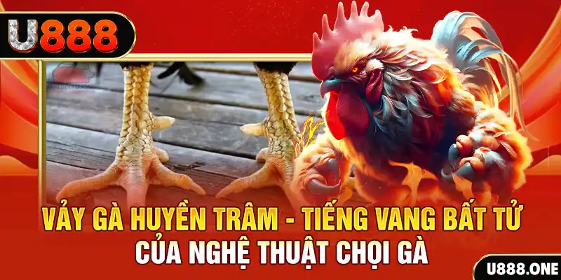 66vn xổ số trực tiếp miền bắc
